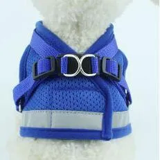 Dog Harness and Leash Set