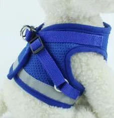 Dog Harness and Leash Set