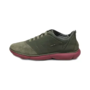 Geox Nebula Low-Top Sneakers Suede Green Colour For Women