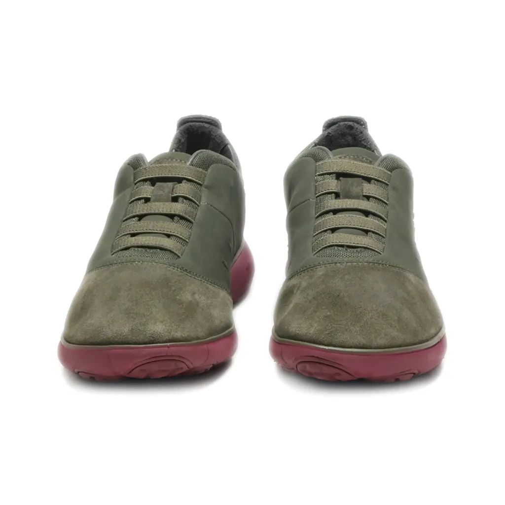 Geox Nebula Low-Top Sneakers Suede Green Colour For Women