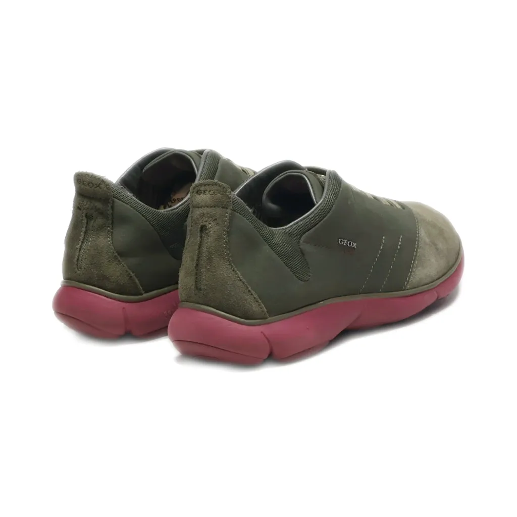 Geox Nebula Low-Top Sneakers Suede Green Colour For Women